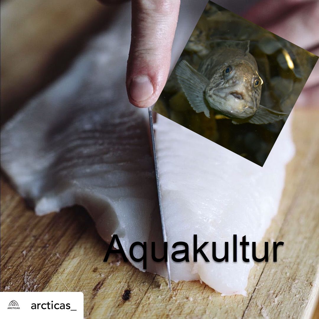 aquakultur