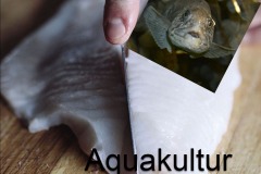 aquakultur